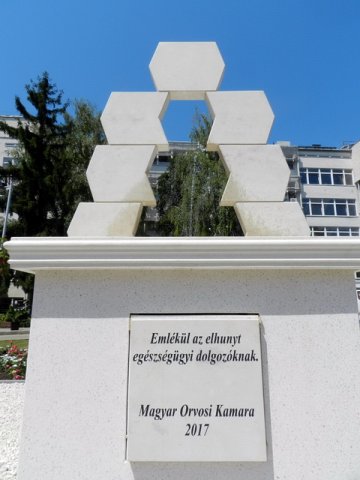 Semmelweis nap 2017 061